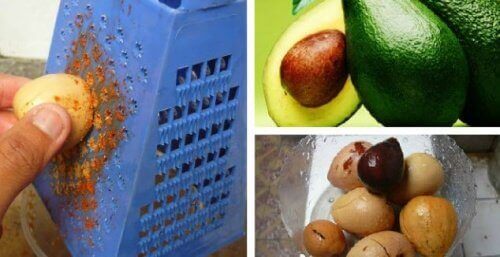 10 корисних властивостей насіння авокадо