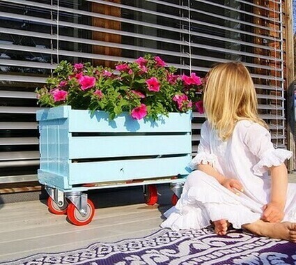 дівчинка дивиться на ящик з квітами