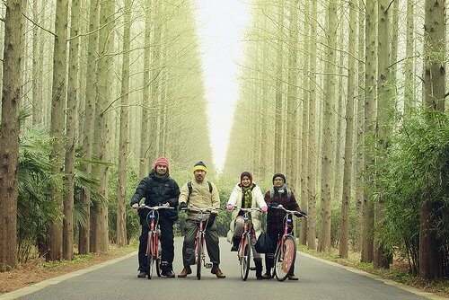 сім'я в лісі на велосипедах