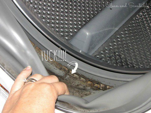 як потрібно чистити пральну машину