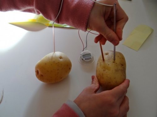 як зробити картопляну лампу