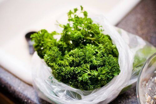 петрушка для нирок