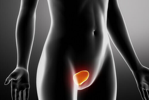 Способи лікування і профілактики інфекцій сечовивідних шляхів