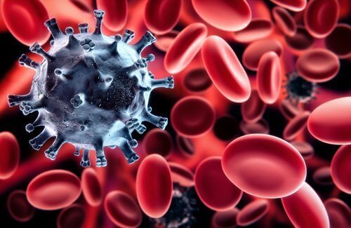 схематичне зображення вірусу та клітин крові