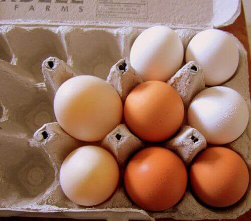 домашні яйця в контейнері