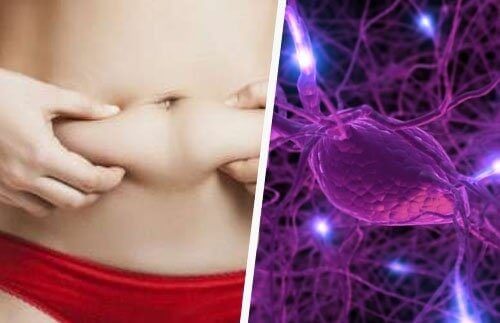 10 ознак гормонального дисбалансу в організмі