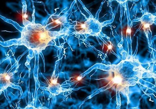 Вчені знайшли новий метод лікування хвороби Альцгеймера