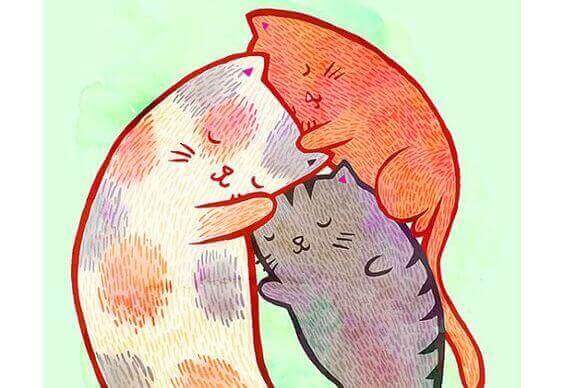 родина котів