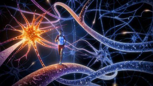 8 найкращих вправ для зміцнення мозку