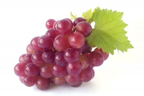 червоний виноград