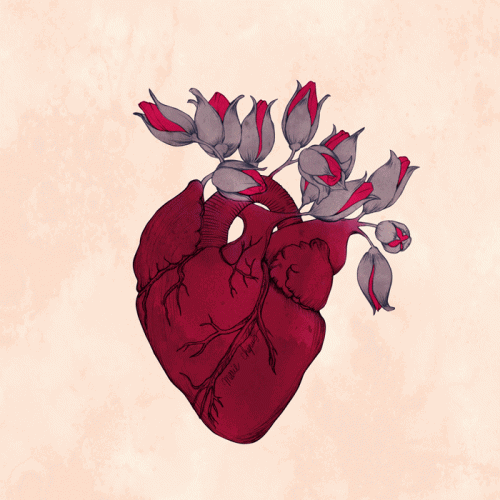 серце