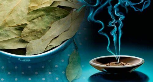 Старовинний засіб з лавровим листом для боротьби з тривогою