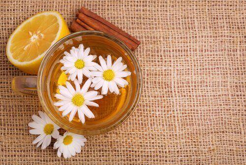 настій ромашки