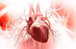 8 шкідливих звичок, які погіршують здоров’я серця
