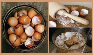 6 натуральних засобів, до яких входить яєчна шкарлупа