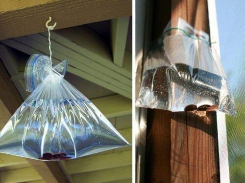 мішечки з горілкою як спосіб боротьби з мухами