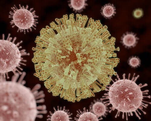 вірус папіломи людини викликає рак шийки матки