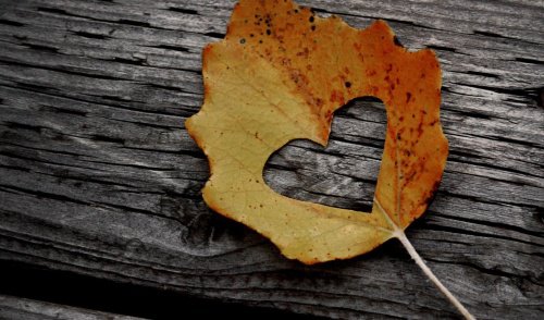 осіннє листя