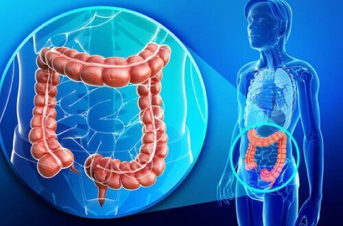 Натуральні методи очищення товстої кишки