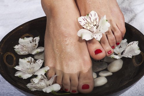 жіночі ноги