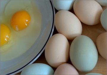 яєчні жовтки та білки