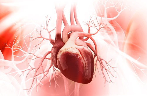 5 методів профілактики "синдрому розбитого серця"