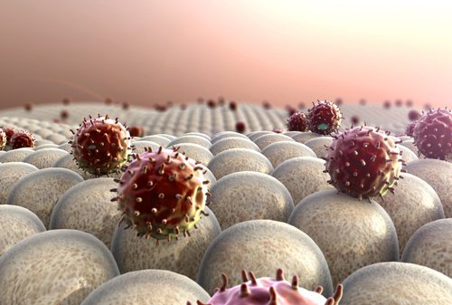 Імунна система