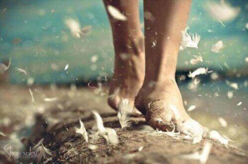 прогулянка звільняє розум