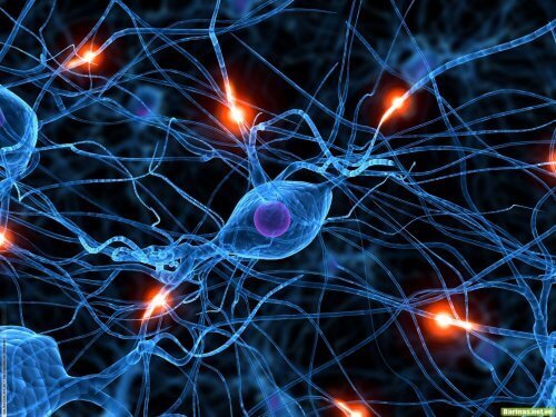 нейрони