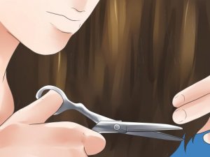 5 поширених міфів про людське тіло