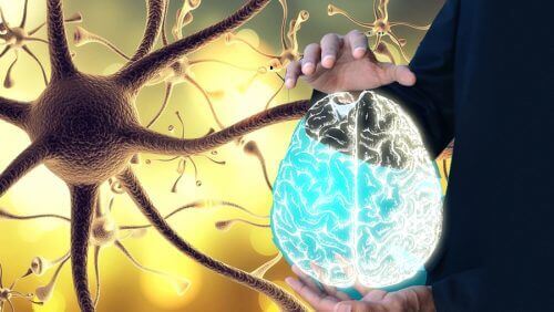 Як "розбудити" блукаючий нерв, щоб покращити здоров'я всього організму