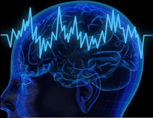 споживання баклажанів покращує роботу мозку