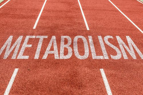 метаболізм і втрата ваги