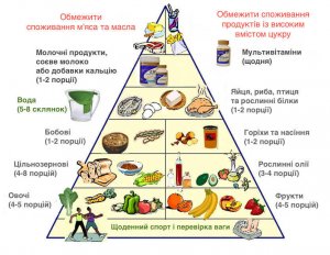 Дізнайтеся, що таке нова харчова піраміда