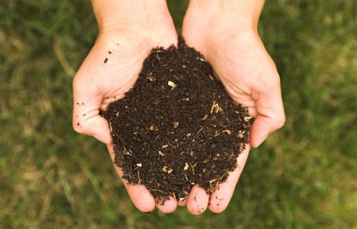 ґрунт в лодонях