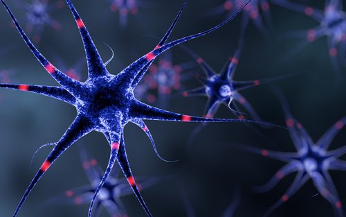 6 способів зміцнити нервову систему 6 способів зміцнити нервову систему