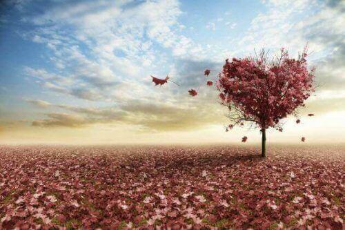 дерево кохання