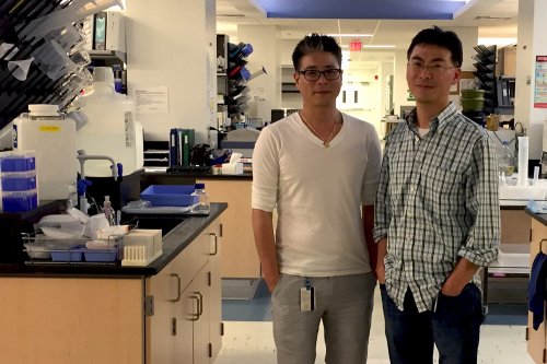 дослідники лікування раку легенів