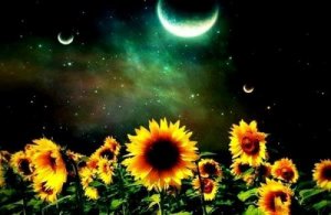 Найціннішими в житті є емоційні зв'язки