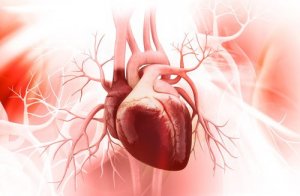 7 корисних порад для здоров’я серця