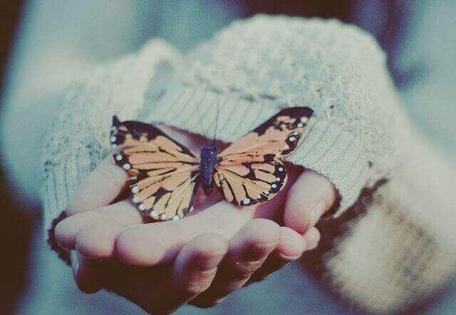 метелик на руці