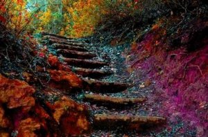 Щоденне самовдосконалення за 5 кроків