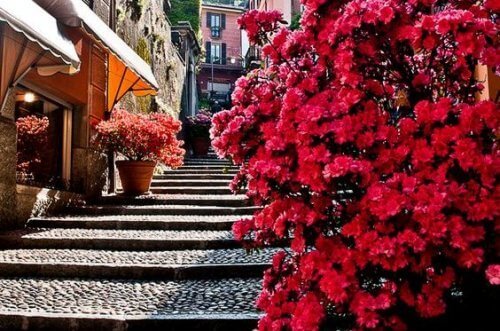 шлях до самовдосконалення