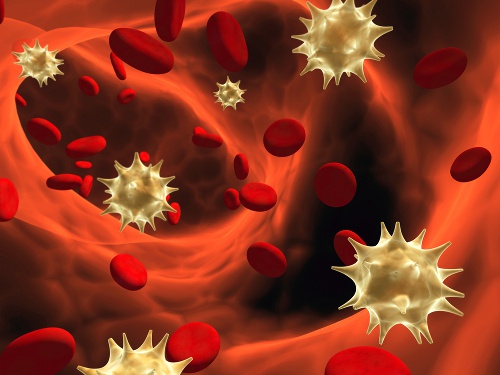 слабкий імунітет є причиною кровоточивості ясен