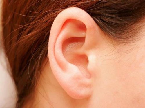 Форма вуха