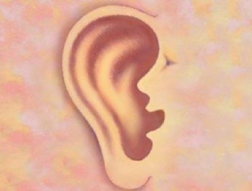 Що вуха можуть розповісти про вас?