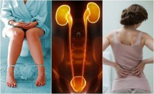 Ознаки ниркової недостатності: 7 важливих симптомів
