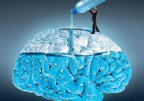Як регулярне вживання води впливає на мозок