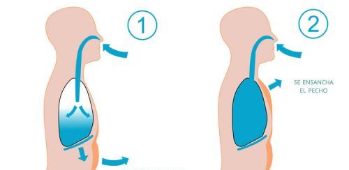 дихальні техніки для сну: діафрагма