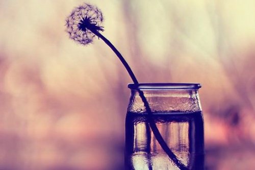 самовіддана жінка